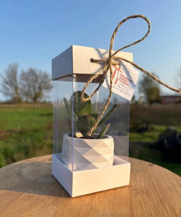 Öğretmenler Günü Özel