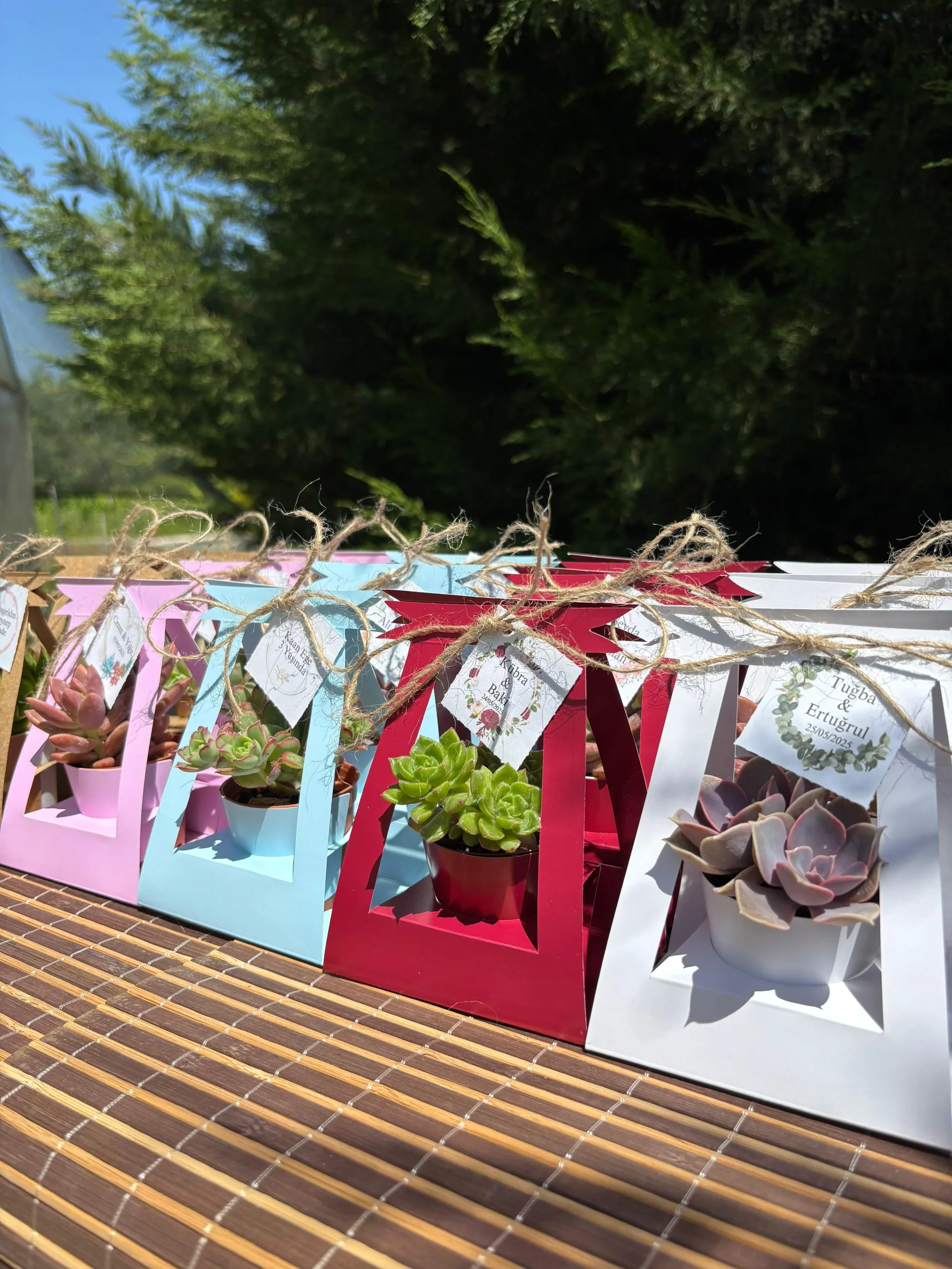 Kare Çanta Süslemeli Sukulent